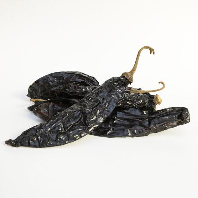 Whole dried Pasilla chilli